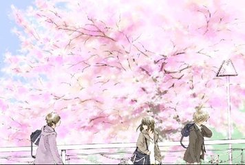 蘑菇tv网页版入口